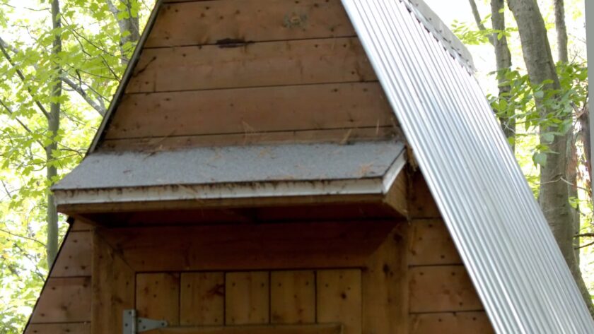 « Maison en bois contemporaine : le rôle clé des panneaux solaires dans la conception »